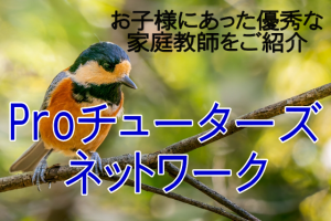 お子様にあった優秀な 家庭教師をご紹介 